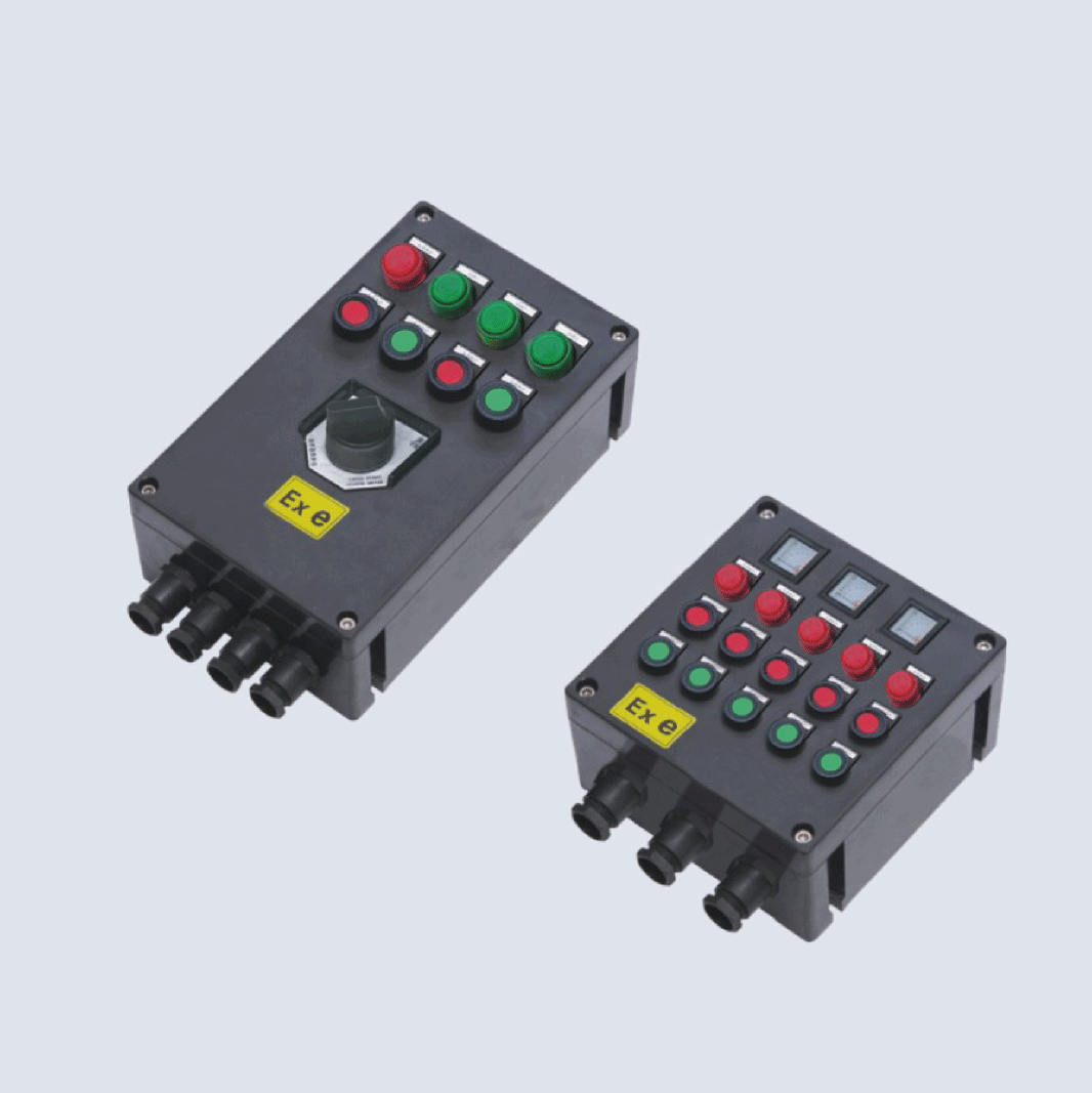 BXK8050-系列防爆防腐控制箱(IIC、 ExtD)